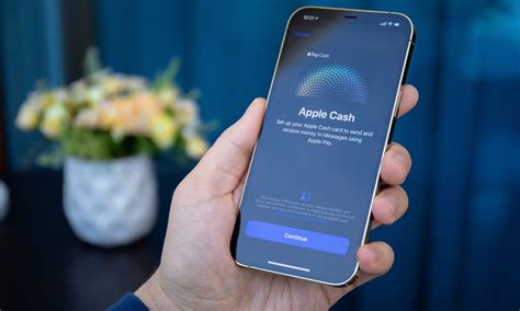 venmo cash users sue apple payment|Apple Faces Lawsuit from Venmo and Cash App。